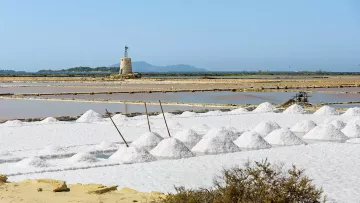Visit the salt pans of Trapani and Paceco with excursions from Trapani