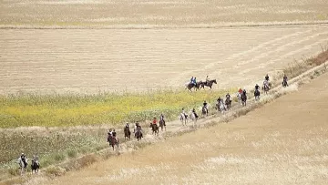 Passeggiate a Cavallo da San Vito lo Capo