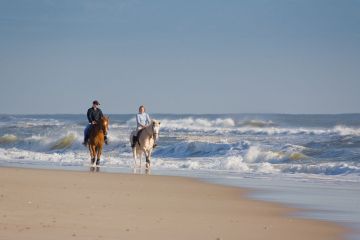 Passeggiate a cavallo sulla spiaggia a San Vito Lo Capo - 2