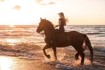 Passeggiate a cavallo sulla spiaggia a San Vito Lo Capo