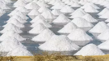 Visit the salt pans of Trapani and Paceco with excursions from Trapani