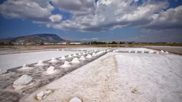 Discover the wonders of Trapani: from the salt pans to the historic center