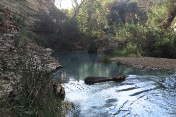 Terme naturali Segesta: guida completa alle sorgenti calde gratuite del Fiume Caldo - 2